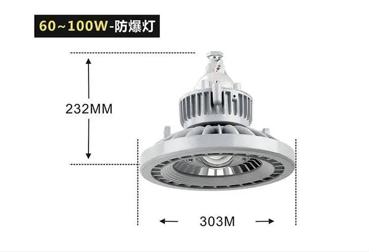 BZD110LED防爆路燈III型