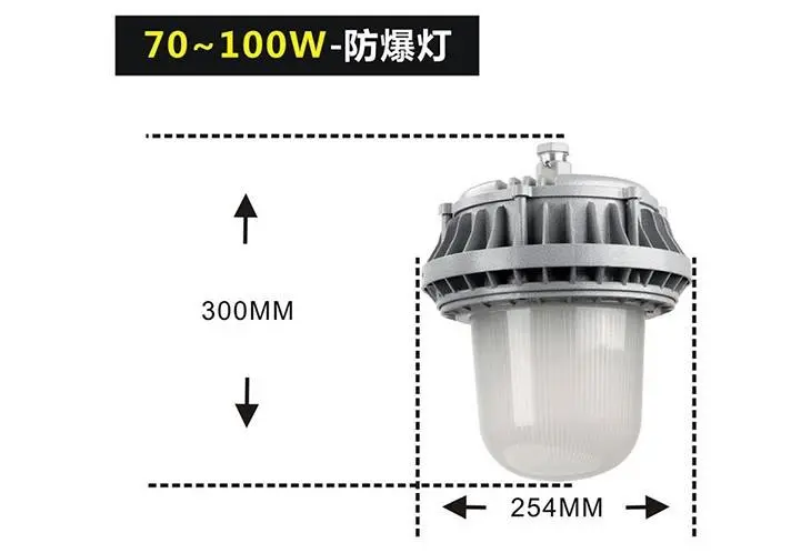 新型內(nèi)場防爆燈III型