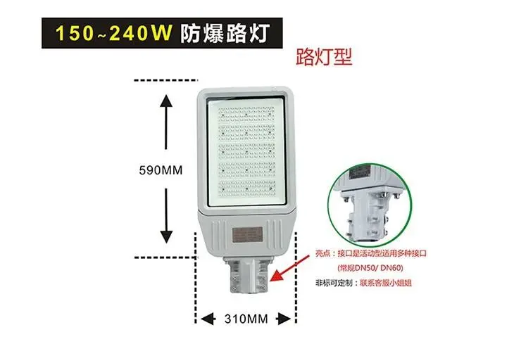 BZD129LED防爆燈具II型路燈款