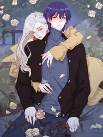 雾海拾光者剧场版 动漫全集
